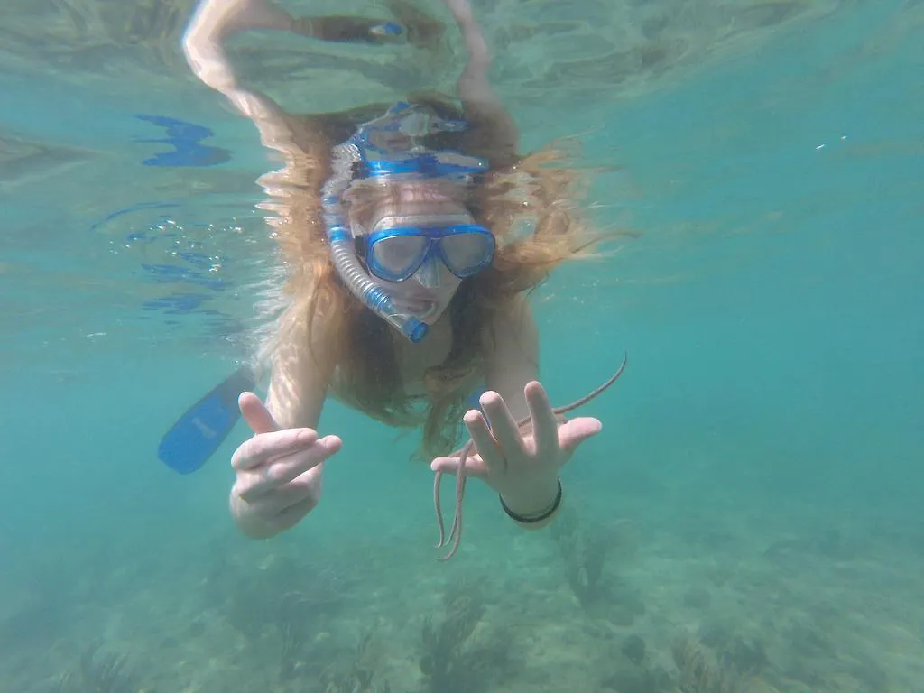 Гостевой дом Fish Tobago Guesthouse Buccoo